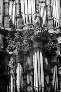 Den Bosch - Sint Janskerk - orgel van Hoque