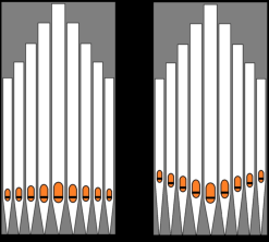 two labia lines - straight and V-shaped